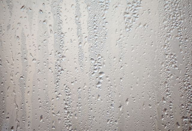 How Humidity and Kentucky Weather Affect Your Wooden Furniture